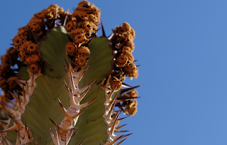 Namibia Namibia