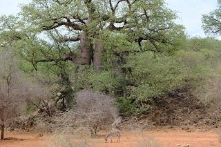 Namibia Namibia