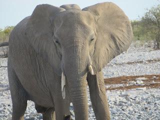 Namibia Namibia