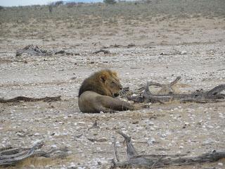 Namibia Namibia