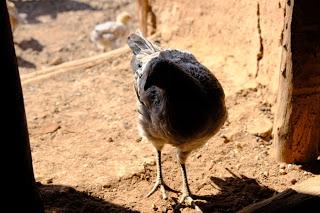 Namibia Namibia