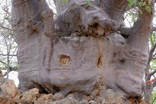 Namibia Namibia
