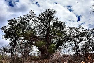 Namibia Namibia