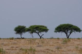 Namibia Namibia