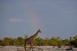 Namibia Namibia