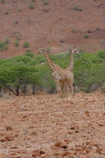 Namibia Namibia