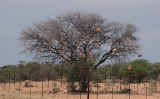 Namibia Namibia