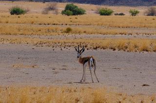 Namibia Namibia