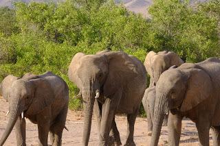 Namibia Namibia