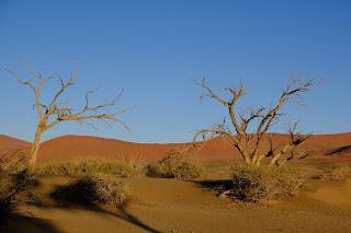 Namibia Namibia