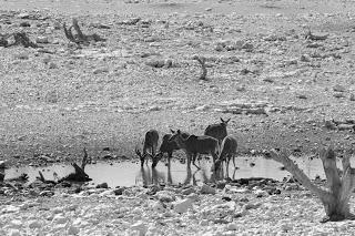 Namibia Namibia