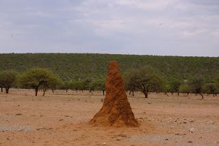 Namibia Namibia