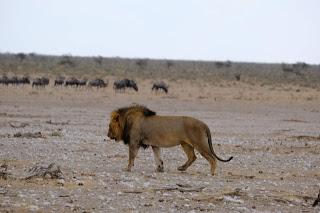 Namibia Namibia