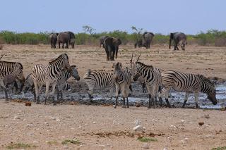 Namibia Namibia
