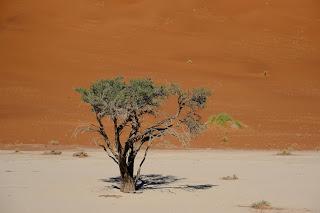 Namibia Namibia