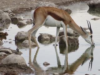 Namibia Namibia