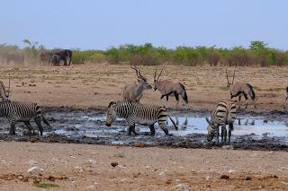 Namibia Namibia