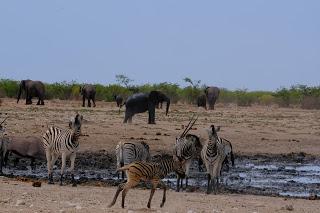 Namibia Namibia