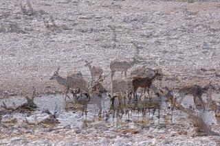 Namibia Namibia