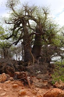Namibia Namibia
