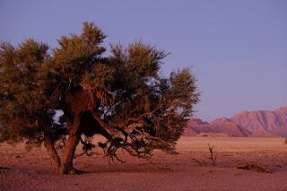 Namibia Namibia