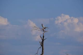 Namibia Namibia