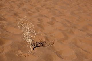 Namibia Namibia