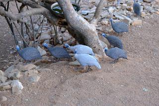 Namibia Namibia