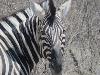 Namibia Namibia