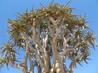 Namibia Namibia