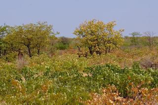 Namibia Namibia