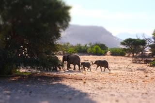 Namibia Namibia