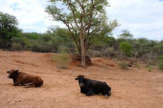 Namibia Namibia