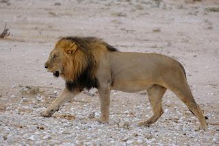 Namibia Namibia