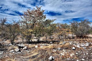 Namibia Namibia