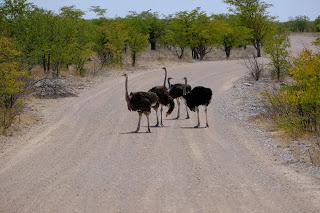 Namibia Namibia