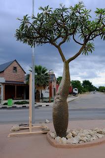 Namibia Namibia