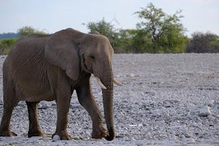 Namibia Namibia