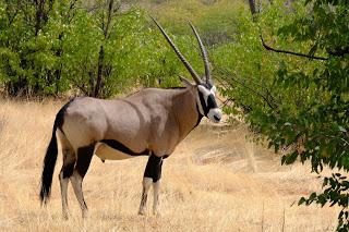 Namibia Namibia
