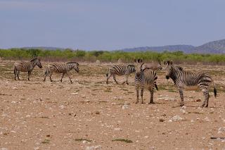 Namibia Namibia