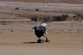 Namibia Namibia