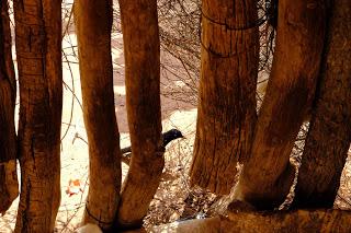 Namibia Namibia