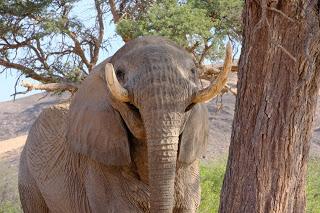 Namibia Namibia