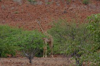Namibia Namibia
