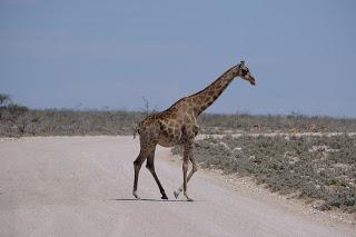 Namibia Namibia