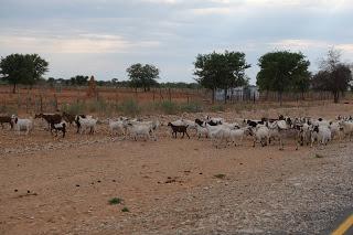 Namibia Namibia