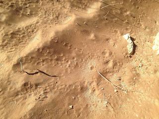 Namibia Namibia