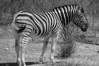 Namibia Namibia