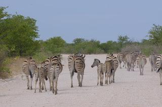Namibia Namibia