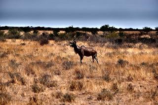 Namibia Namibia